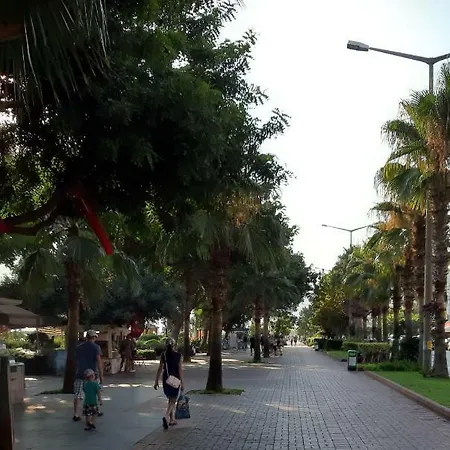 Daire City Kleopatra